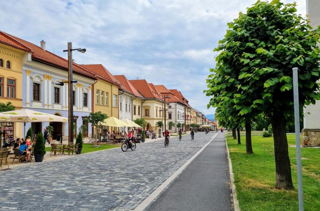 Apartment In A Historical House In The Center Of Levoca Exterior photo